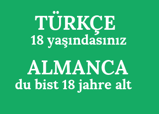 18+ya%C5%9F%C4%B1ndas%C4%B1n%C4%B1z-du+bist+18+jahre+alt.png