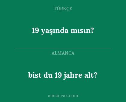 19 yaşında mısın? - bist du 19 jahre alt?