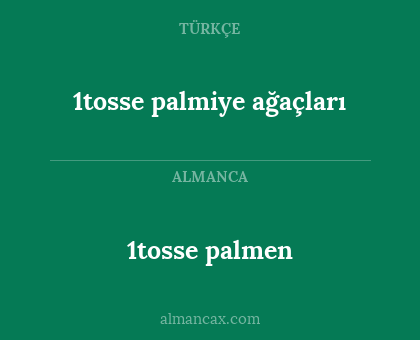 1tosse palmen - 1tosse palmiye ağaçları