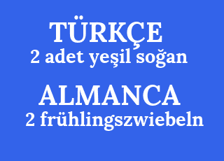2+adet+ye%C5%9Fil+so%C4%9Fan-2+fr%C3%BChlingszwiebeln.png