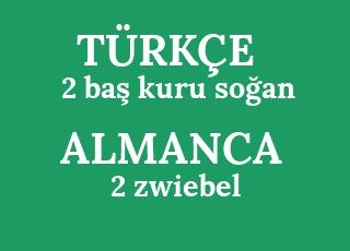 2+ba%C5%9F+kuru+so%C4%9Fan-2+zwiebel.png