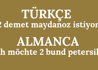 2+demet+maydanoz+istiyorum-ich+m%C3%B6chte+2+bund+petersilie.png