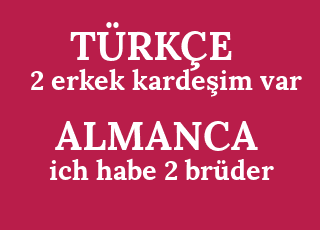 2+erkek+karde%C5%9Fim+var-ich+habe+2+br%C3%BCder.png