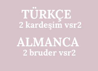 2+karde%C5%9Fim+vsr2-2+bruder+vsr2.png