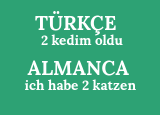 2+kedim+oldu-ich+habe+2+katzen.png