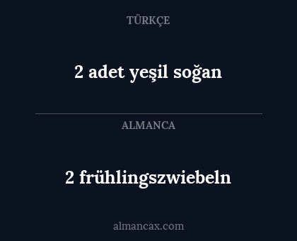2 adet yeşil soğan - 2 frühlingszwiebeln