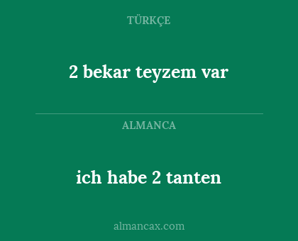 2 bekar teyzem var - ich habe 2 tanten