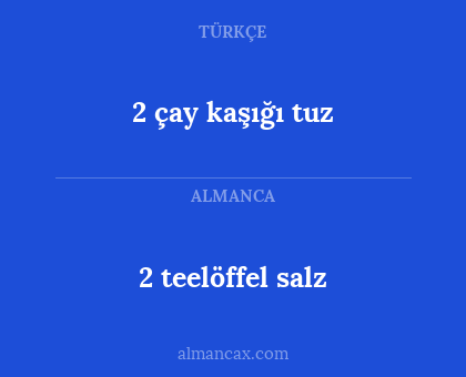 2 teelöffel salz - 2 çay kaşığı tuz