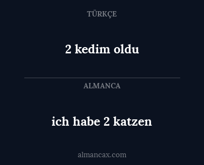 ich habe 2 katzen - 2 kedim oldu