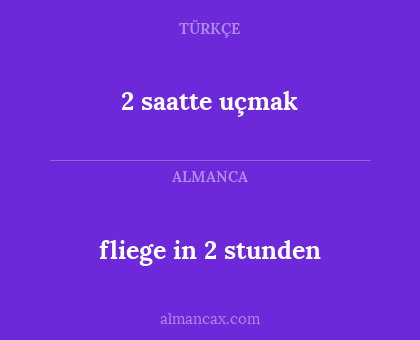 2 saatte uçmak - fliege in 2 stunden