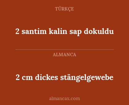2 cm dickes stängelgewebe - 2 santim kalin sap dokuldu