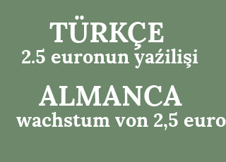 2.5+euronun+ya%C5%BAili%C5%9Fi-wachstum+von+2%2C5+euro.png