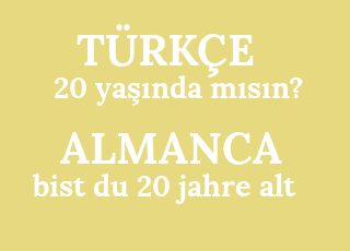 20+ya%C5%9F%C4%B1nda+m%C4%B1s%C4%B1n%3F-bist+du+20+jahre+alt.png