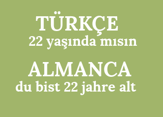 22+ya%C5%9F%C4%B1nda+m%C4%B1s%C4%B1n-du+bist+22+jahre+alt.png