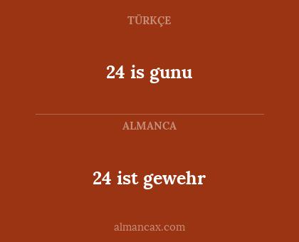 24 ist gewehr - 24 is gunu