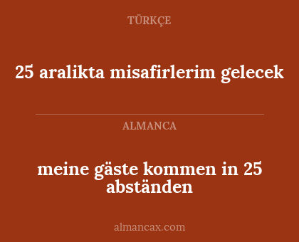 meine gäste kommen in 25 abständen - 25 aralikta misafirlerim gelecek