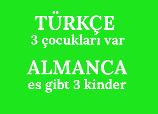 3+%C3%A7ocuklar%C4%B1+var-es+gibt+3+kinder.png
