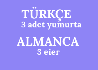 3+adet+yumurta-3+eier.png