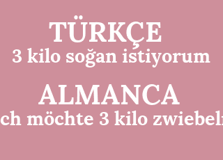 3+kilo+so%C4%9Fan+istiyorum-ich+m%C3%B6chte+3+kilo+zwiebeln.png