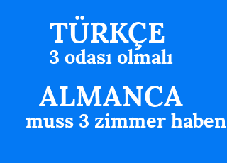 3+odas%C4%B1+olmal%C4%B1-muss+3+zimmer+haben.png