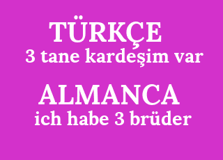 3+tane+karde%C5%9Fim+var-ich+habe+3+br%C3%BCder.png