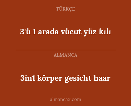 3in1 körper gesicht haar - 3'ü 1 arada vücut yüz kılı