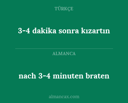 nach 3-4 minuten braten - 3-4 dakika sonra kızartın