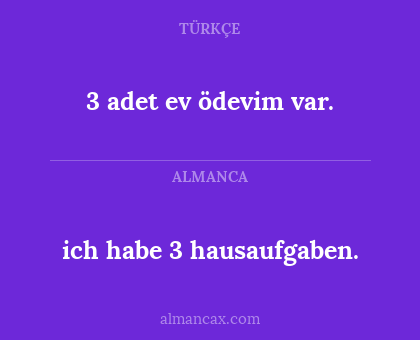 3 adet ev ödevim var. - ich habe 3 hausaufgaben.