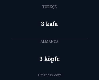 3 köpfe - 3 kafa