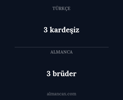 3 brüder - 3 kardeşiz