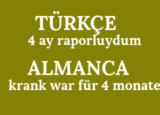 4+ay+raporluydum-krank+war+f%C3%BCr+4+monate.png