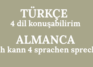 4+dil+konu%C5%9Fabilirim-ich+kann+4+sprachen+sprechen.png