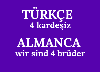 4+karde%C5%9Fiz-wir+sind+4+br%C3%BCder.png