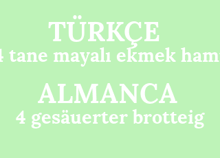 4+tane+mayal%C4%B1+ekmek+hamuru-4+ges%C3%A4uerter+brotteig.png
