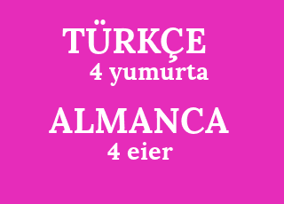 4+yumurta-4+eier.png