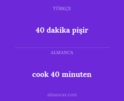 40 dakika pişir - cook 40 minuten
