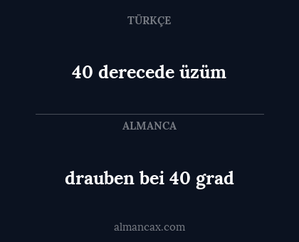 40 derecede üzüm - drauben bei 40 grad