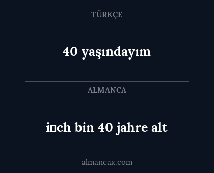 40 yaşındayım - i̇ch bin 40 jahre alt