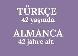 42+ya%C5%9F%C4%B1nda.-42+jahre+alt..png