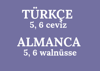 5%2C+6+ceviz-5%2C+6+waln%C3%BCsse.png
