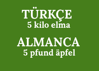 5+kilo+elma-5+pfund+%C3%A4pfel.png
