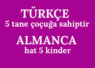 5+tane+%C3%A7o%C3%A7u%C4%9Fa+sahiptir-hat+5+kinder.png