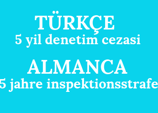 5+yil+denetim+cezasi-5+jahre+inspektionsstrafe.png