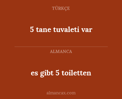 5 tane tuvaleti var - es gibt 5 toiletten