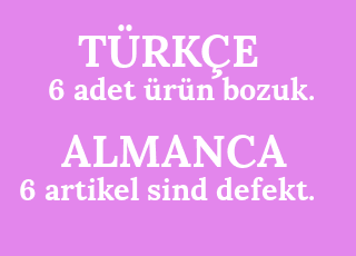 6+adet+%C3%BCr%C3%BCn+bozuk.-6+artikel+sind+defekt..png