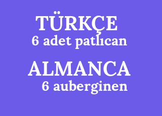 6+adet+patl%C4%B1can-6+auberginen.png