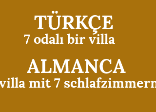 7+odal%C4%B1+bir+villa-villa+mit+7+schlafzimmern.png