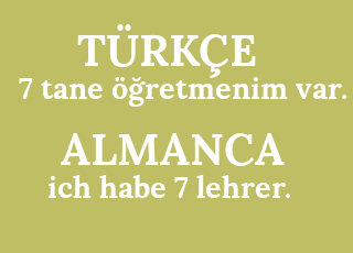7+tane+%C3%B6%C4%9Fretmenim+var.-ich+habe+7+lehrer..png