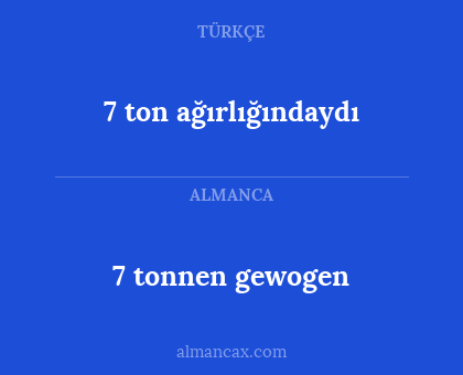 7 tonnen gewogen - 7 ton ağırlığındaydı