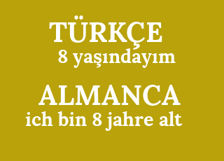 8+ya%C5%9F%C4%B1nday%C4%B1m-ich+bin+8+jahre+alt.png